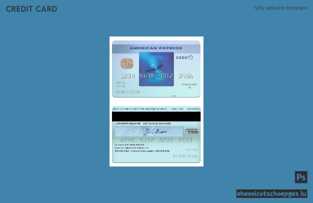 USA Kalifornien BlueVine Bank Blue Cash Everyday Card von American Express – Beispielvorschau